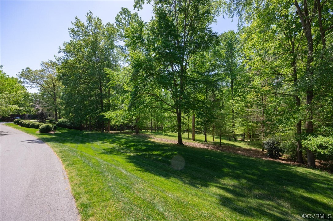 26 Mystic Road Richmond, VA 23238 - Photo 5 of 22 a view of a park with a tree in the background