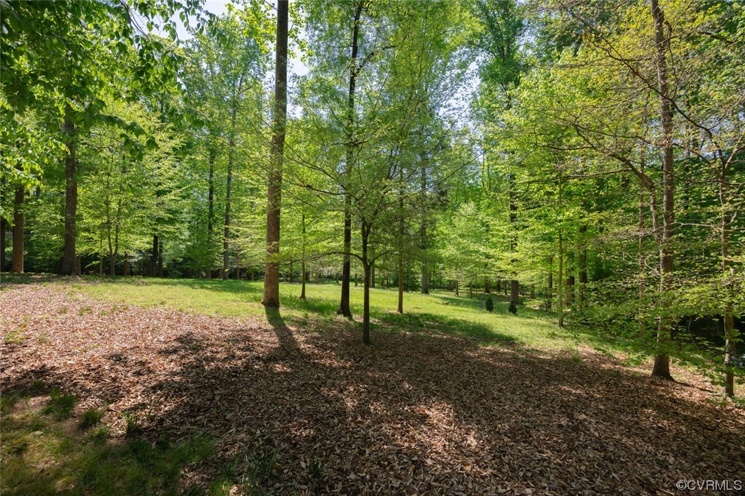 26 Mystic Road Richmond, VA 23238 - Photo 7 of 22 a view of outdoor space with trees