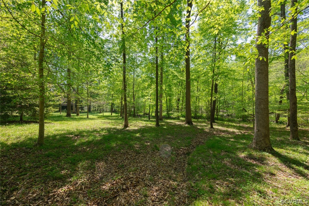 26 Mystic Road Richmond, VA 23238 - Photo 9 of 22 a view of lush green forest