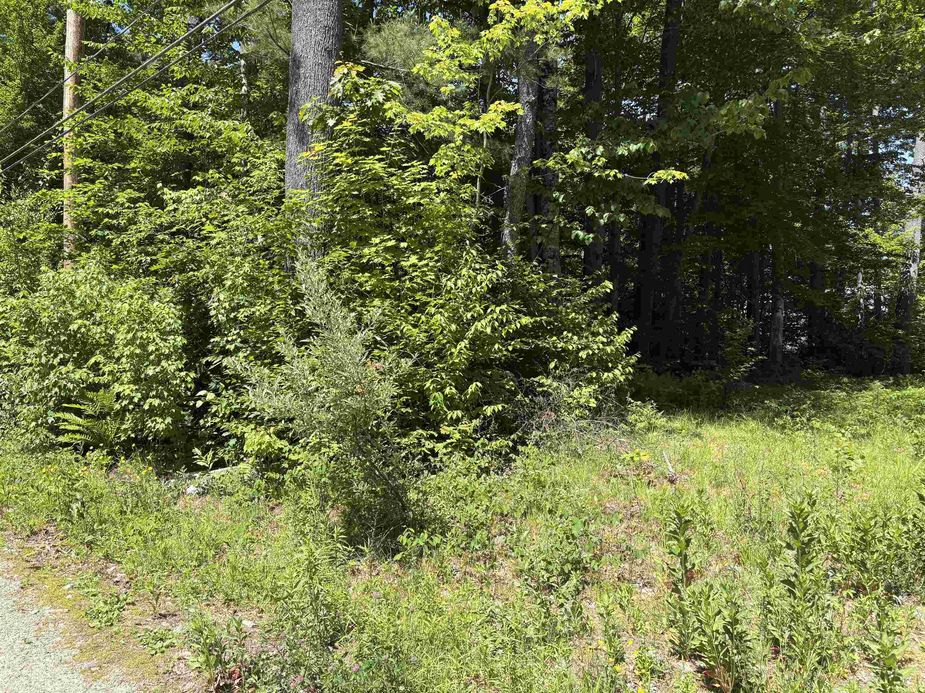 Lot 608 Rabbit Path Hillsborough, NH 03244 - Photo 1 of 5 Gallery Image 1