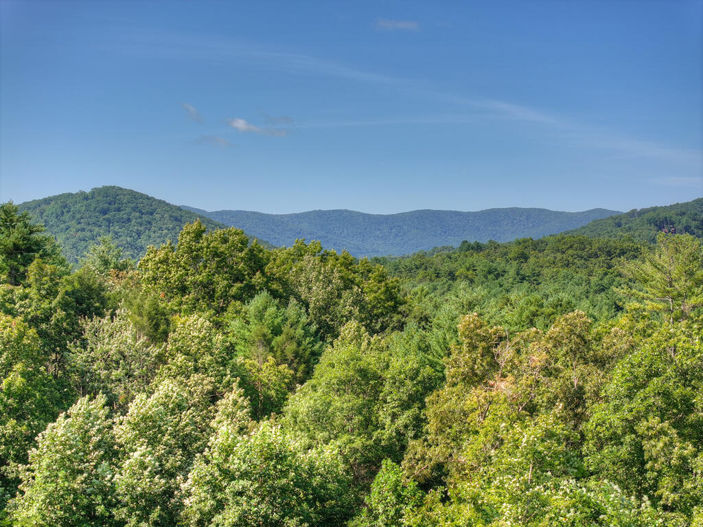 98 Saddle Back Trail Blue Ridge, GA 30513 - Photo 2 of 92 Gallery Image 2