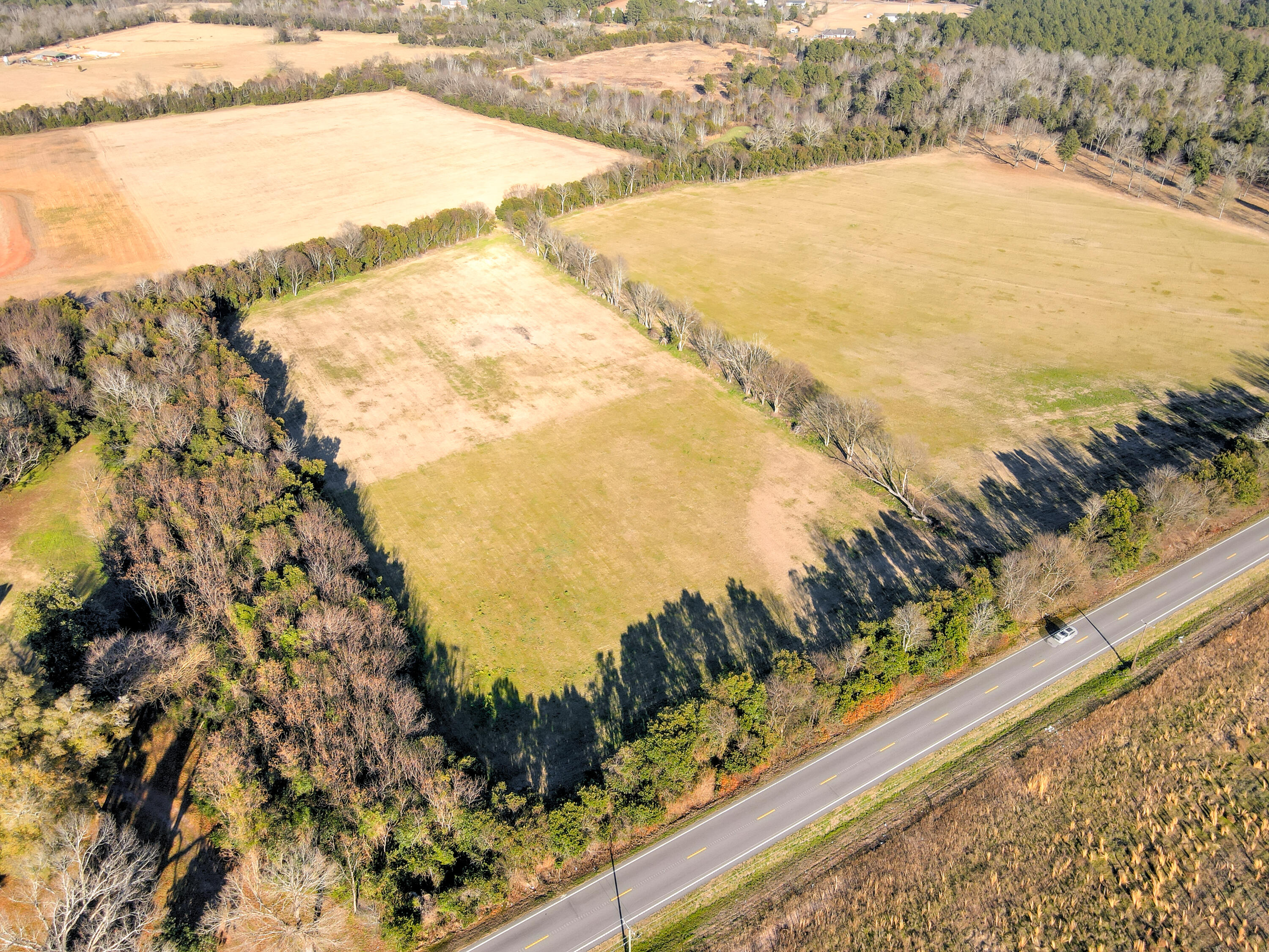 10.80-acres Williston Road Beech Island, SC 29842 - Photo 7 of 16