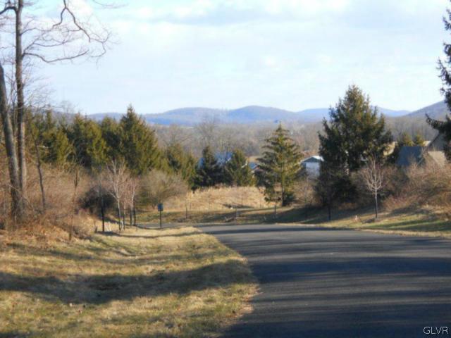 10 Evergreen Road Riegelsville, PA 18077 - Photo 1 of 9 a view of a town with mountains