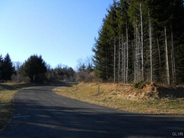 10 Evergreen Road Riegelsville, PA 18077 - Photo 3 of 9 a view of a yard with wooden floor and fence