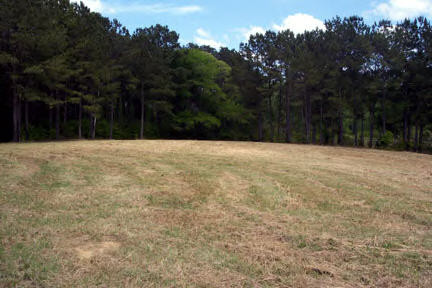Van Norman Curve Road McComb, MS 39648 - Photo 1 of 1 Main View