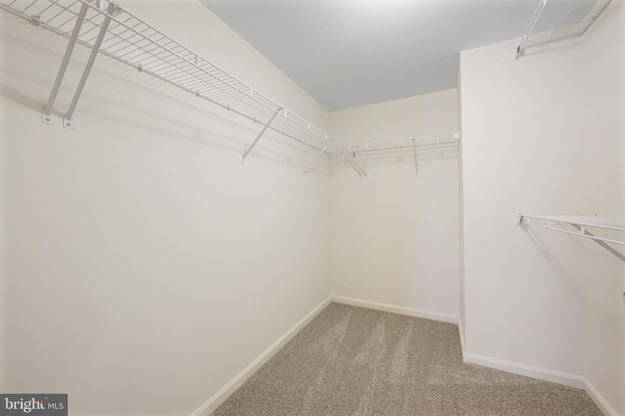 12246 Roundwood Road, Unit 707 Lutherville-Timonium, MD 21093 - Photo 14 of 24 Primary bedroom large closet
