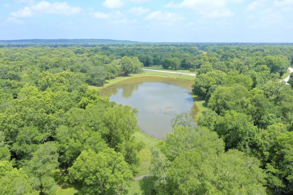 203 Ferguson Drive Cleveland, TX 77327 - Photo 16 of 24