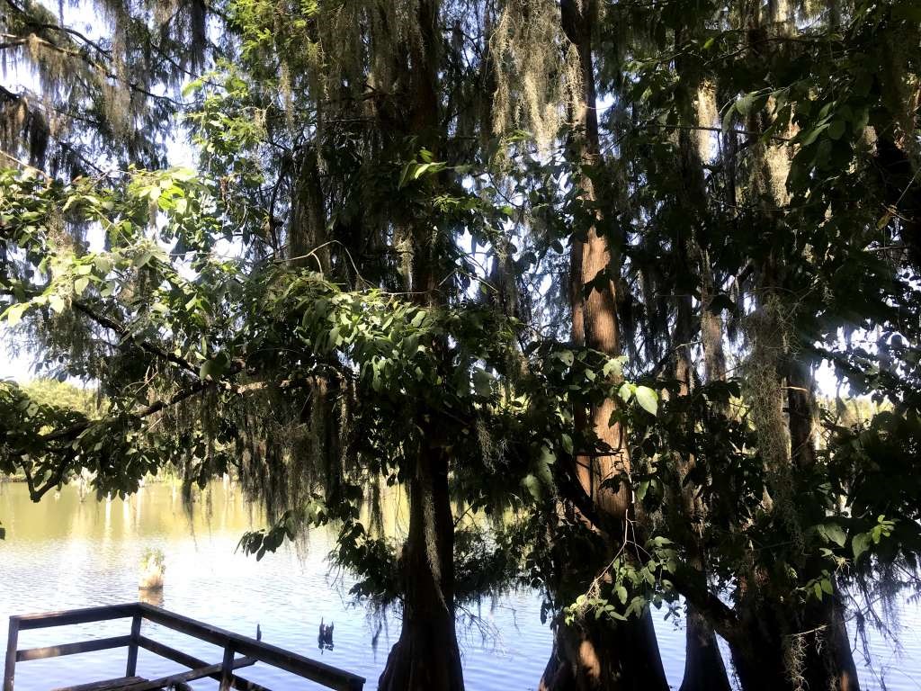 203 Ferguson Drive Cleveland, TX 77327 - Photo 2 of 24