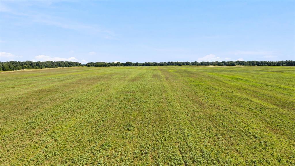 290 Rising Star Tx 76471 Rising Star, TX 76471 - Photo 8 of 17