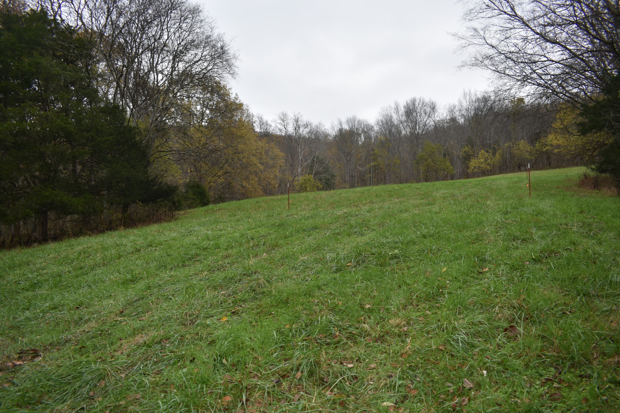 0 Dyer Branch Road Gordonsville, TN 38563 - Photo 1 of 9 a view of a field of grass and trees