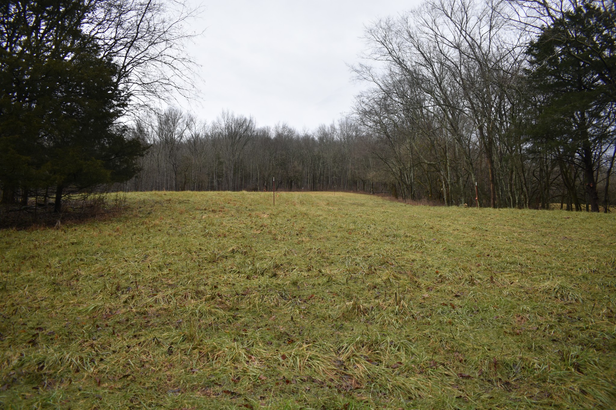 0 Dyer Branch Road Gordonsville, TN 38563 - Photo 3 of 9 a view of an outdoor space and a yard