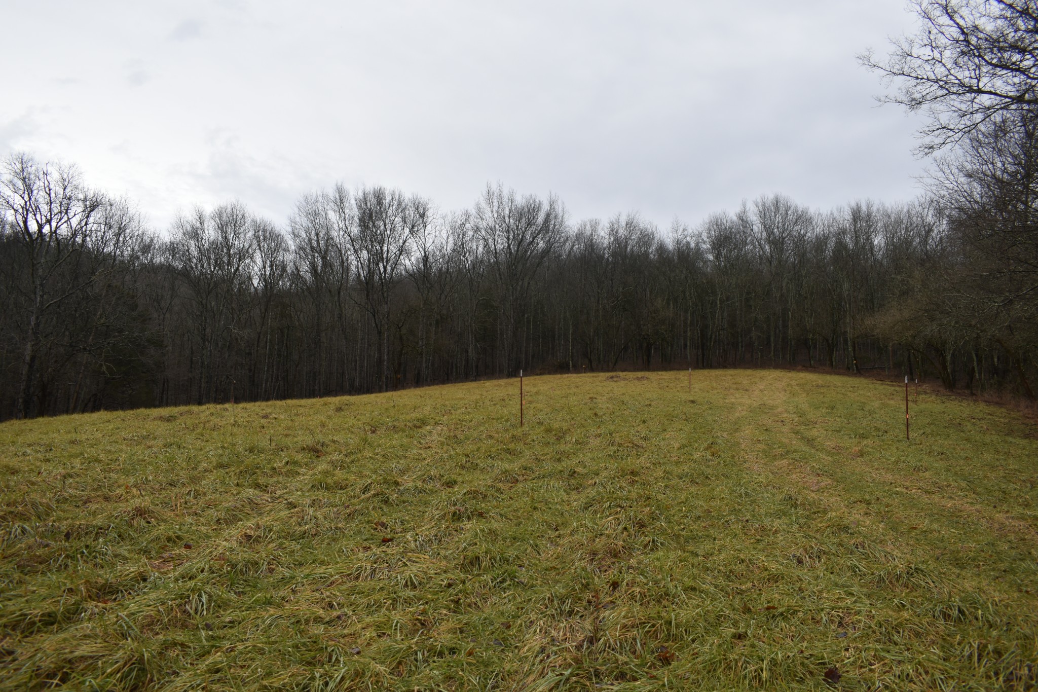 0 Dyer Branch Road Gordonsville, TN 38563 - Photo 4 of 9 a view of swimming pool