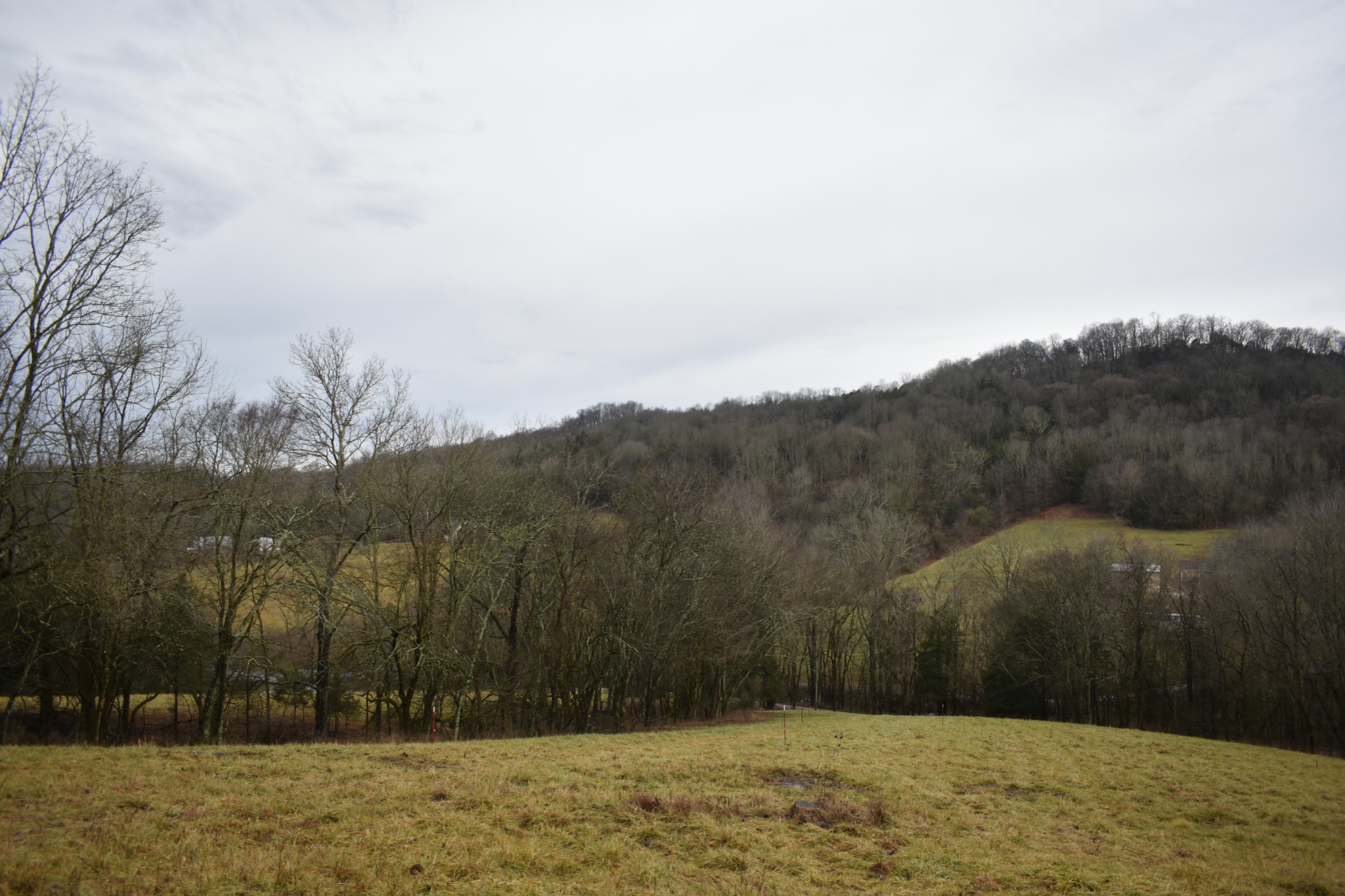 0 Dyer Branch Road Gordonsville, TN 38563 - Photo 7 of 9 a view of mountain view with mountain view