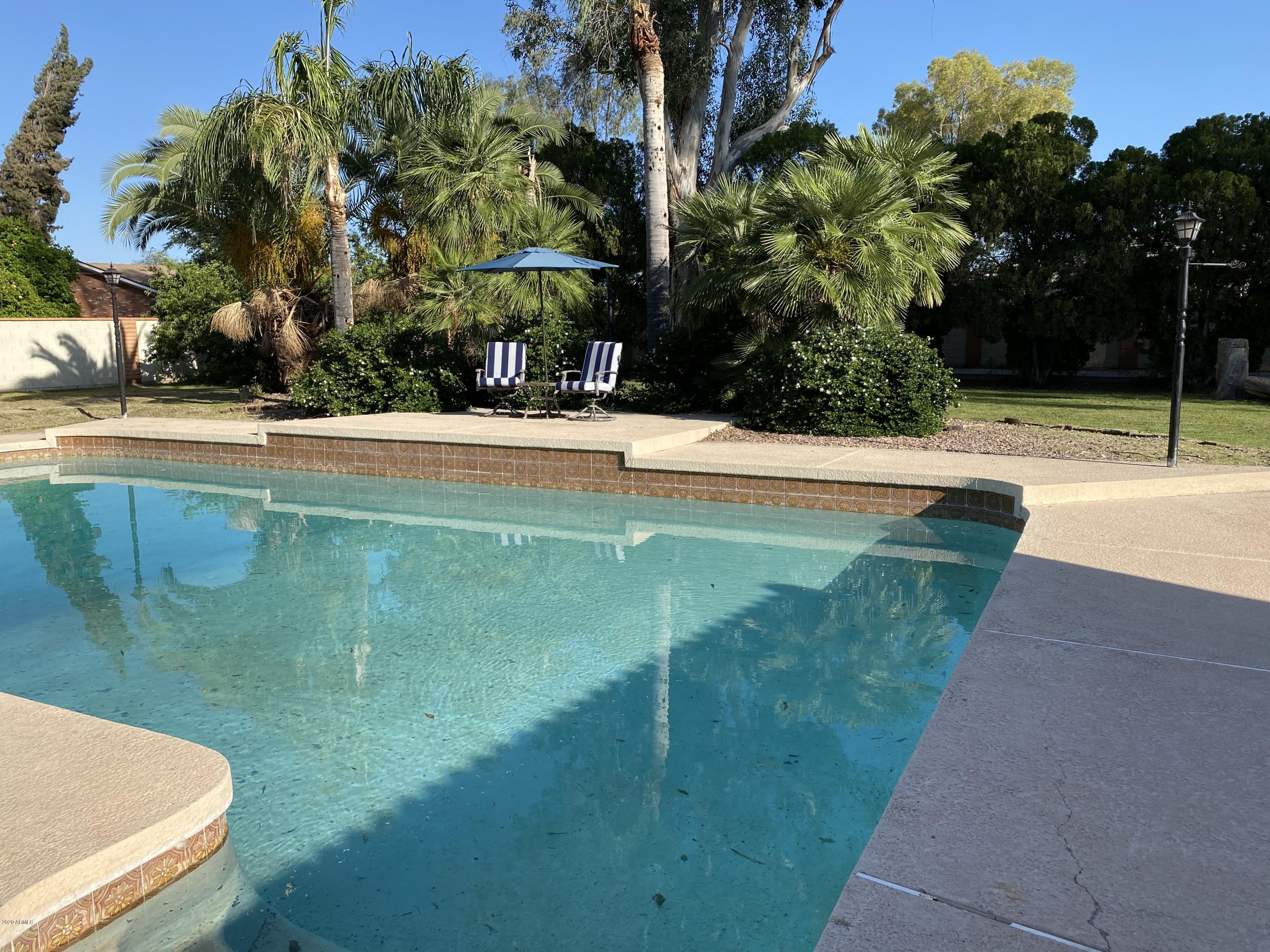 1129 South Lyn Rae Square Mesa, AZ 85204 - Photo 37 of 51 Pool LRS