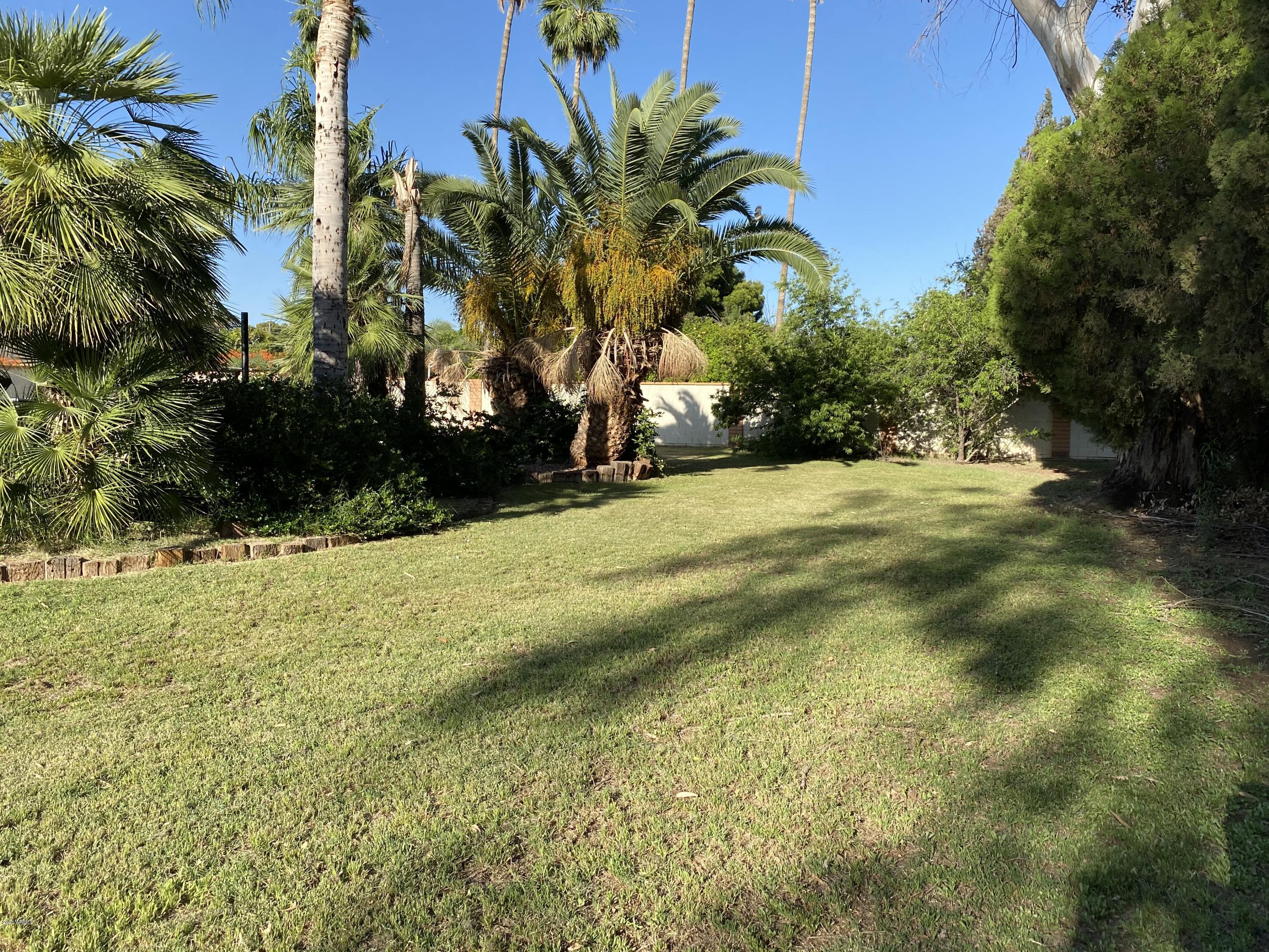 1129 South Lyn Rae Square Mesa, AZ 85204 - Photo 39 of 51 IMG_0874