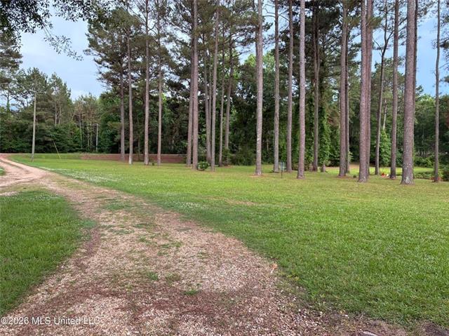 367 44th Highway Jayess, MS 39641 - Photo 32 of 38