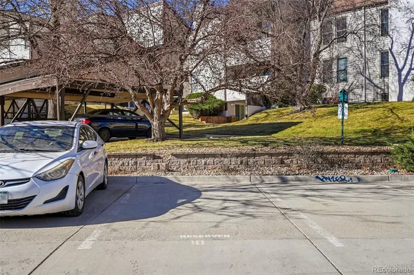 a view of a yard with cars parked on road