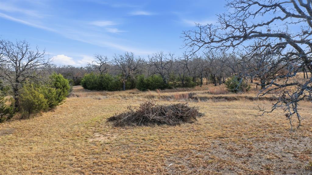 Tbd Dps Tower Road Perrin, TX 76486 - Photo 10 of 14