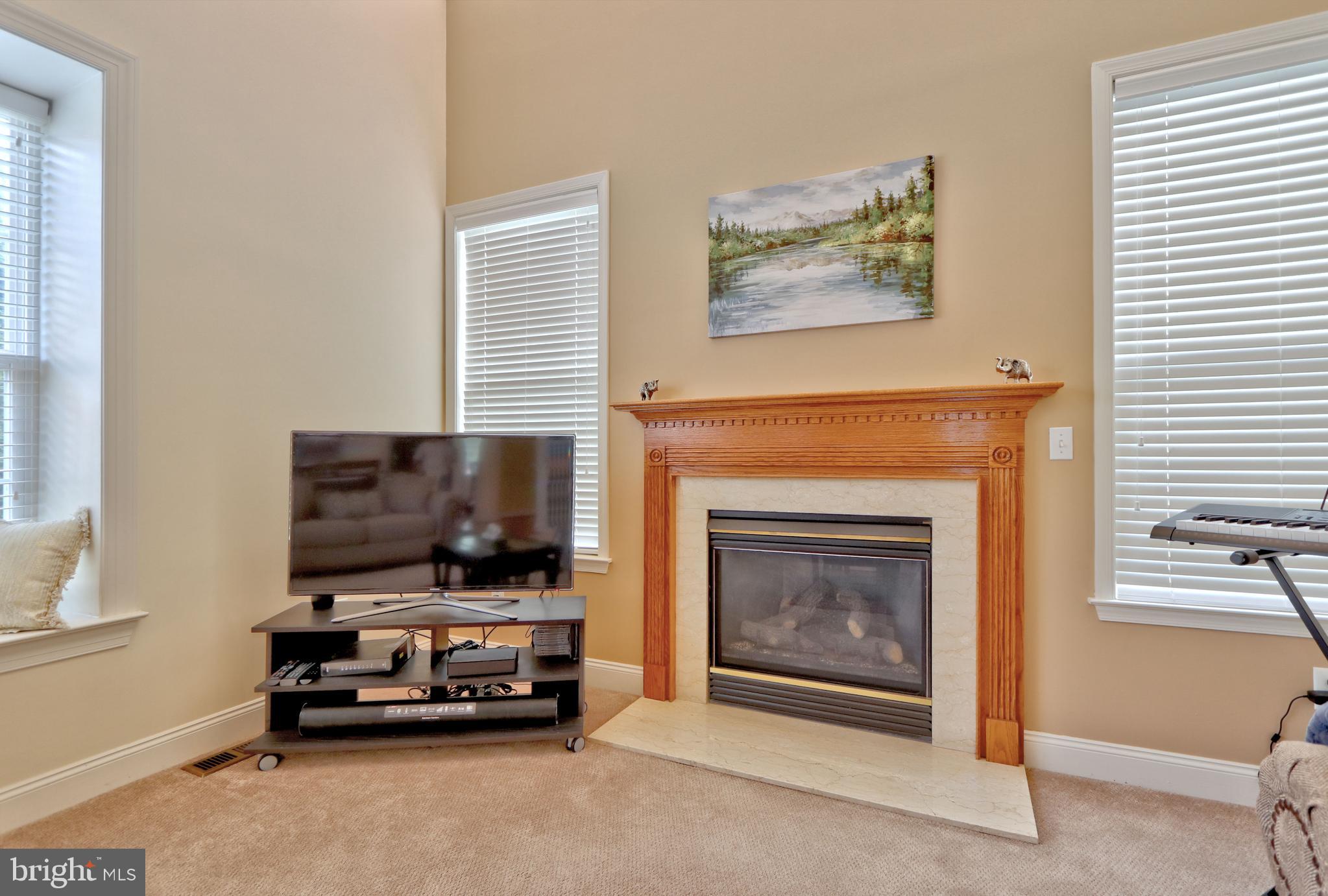 23 Kyle Court Mount Laurel, NJ 08054 - Photo 22 of 57 Gast Fireplace completes the Family Room!