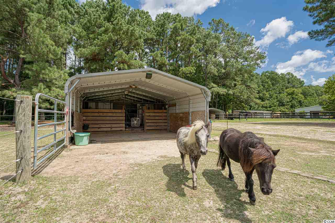 493 Bryants Landing Road Conway, SC 29526 - Photo 8 of 40