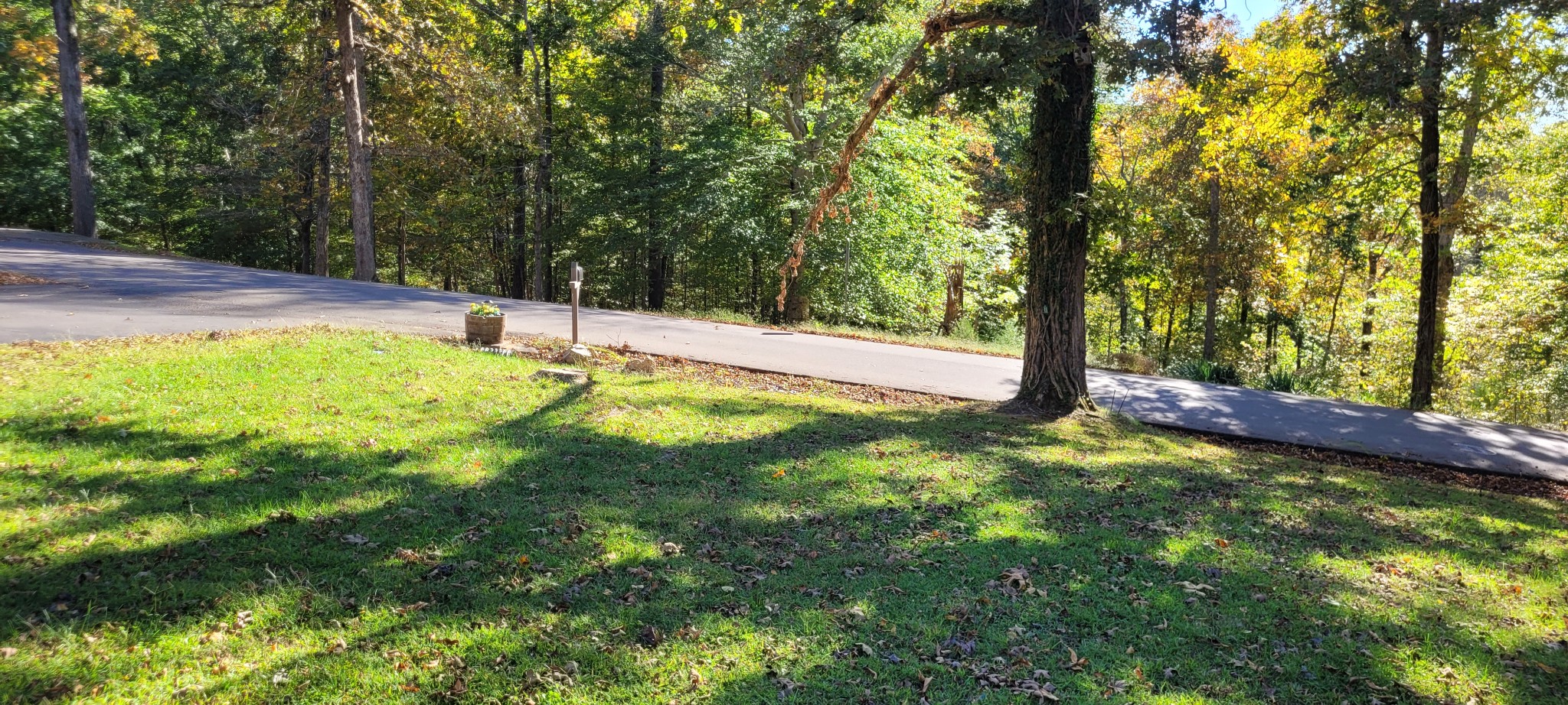 408 Sandy Road Dover, TN 37058 - Photo 18 of 32 a view of a yard with a tree