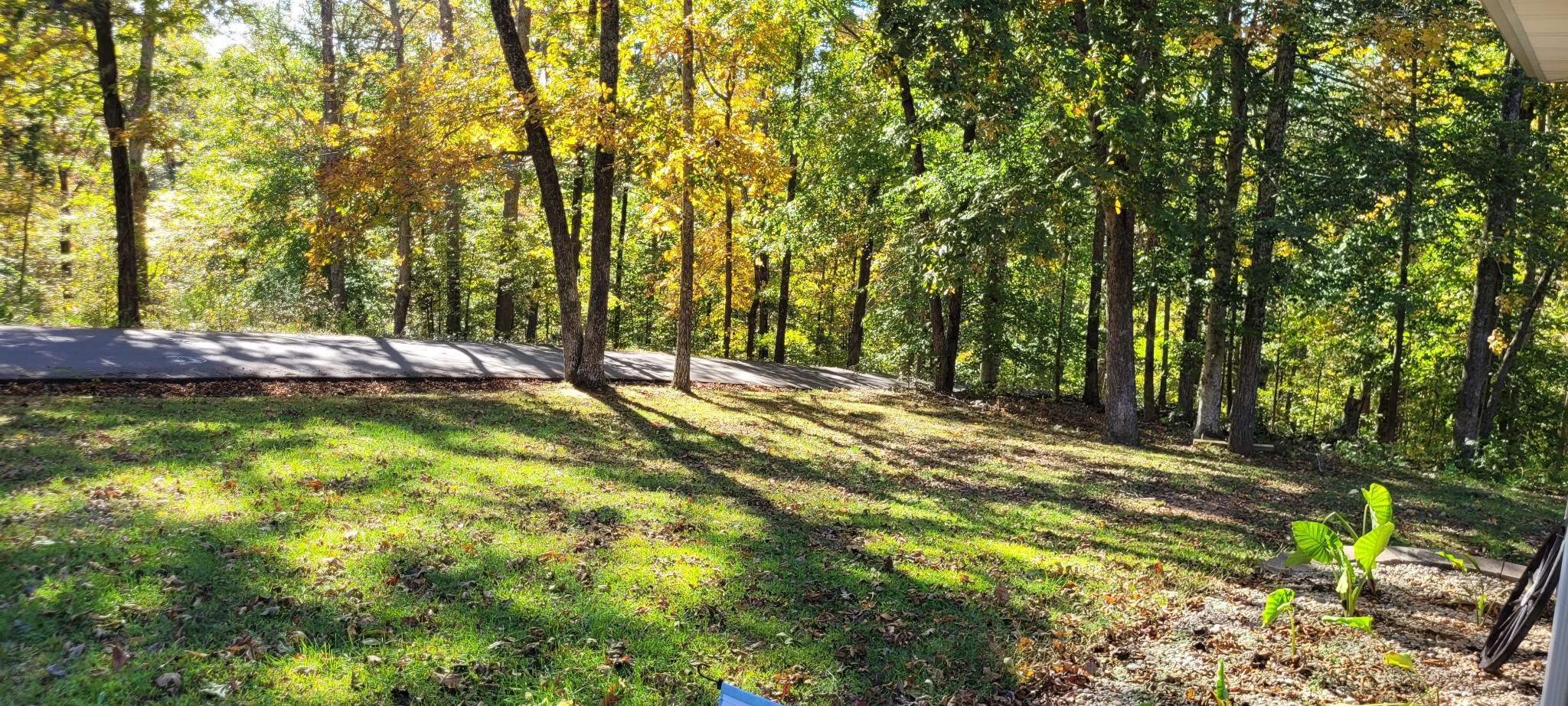 408 Sandy Road Dover, TN 37058 - Photo 19 of 32