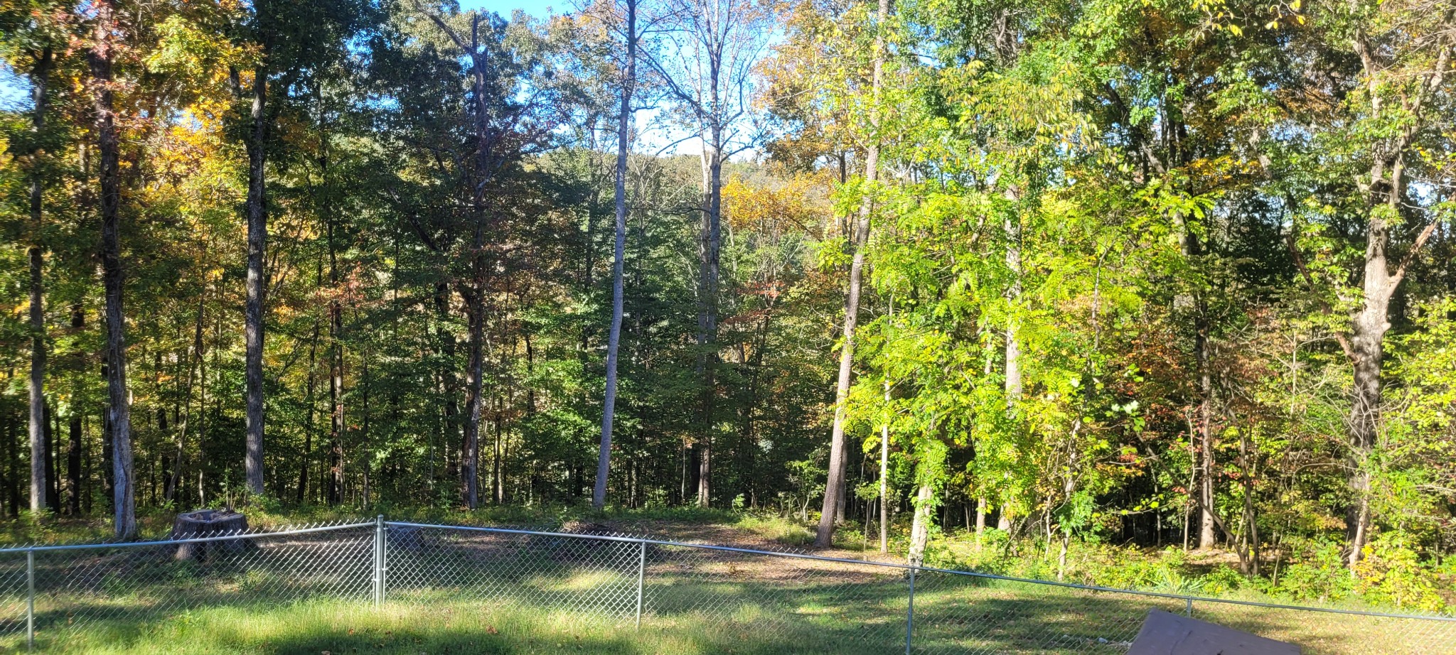 408 Sandy Road Dover, TN 37058 - Photo 21 of 32 a view of swimming pool with a yard