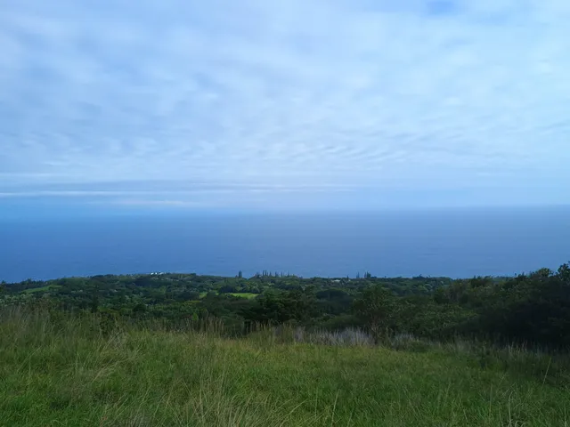 a view of residential houses with lake and mountain view