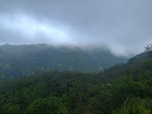 a view of a green field