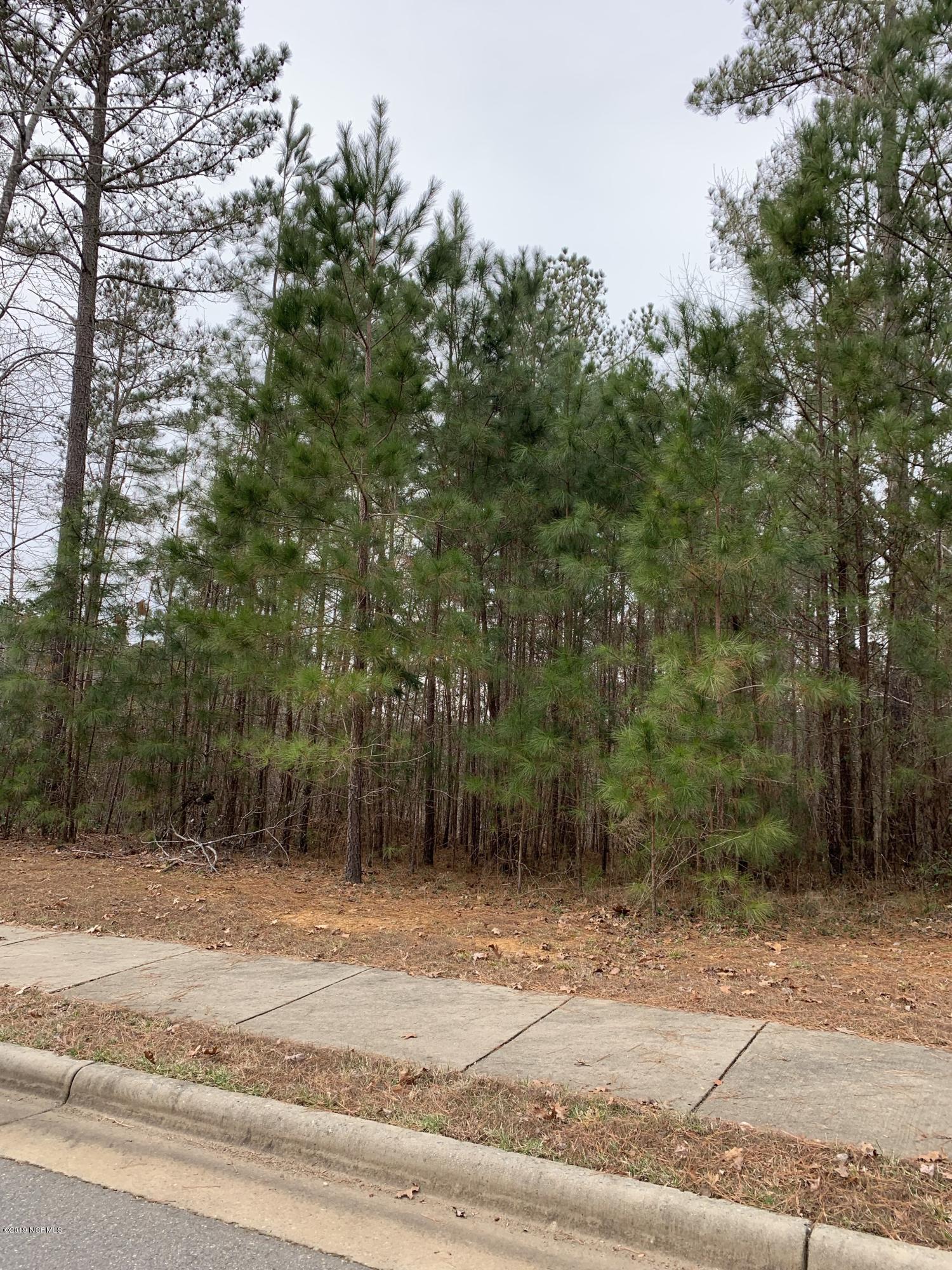 175 High Ridge Lane Pittsboro, NC 27312 - Photo 3 of 4 Sidewalk View