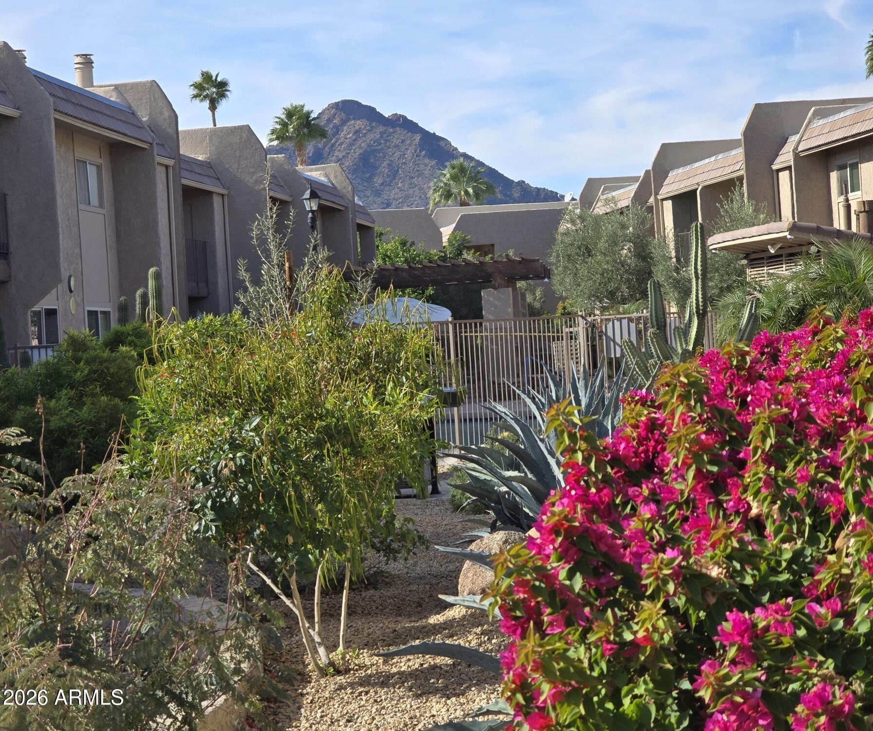 7436 East Chaparral Road, Unit B258 Scottsdale, AZ 85250 - Photo 16 of 23 a view of a house with a lot of flower plants