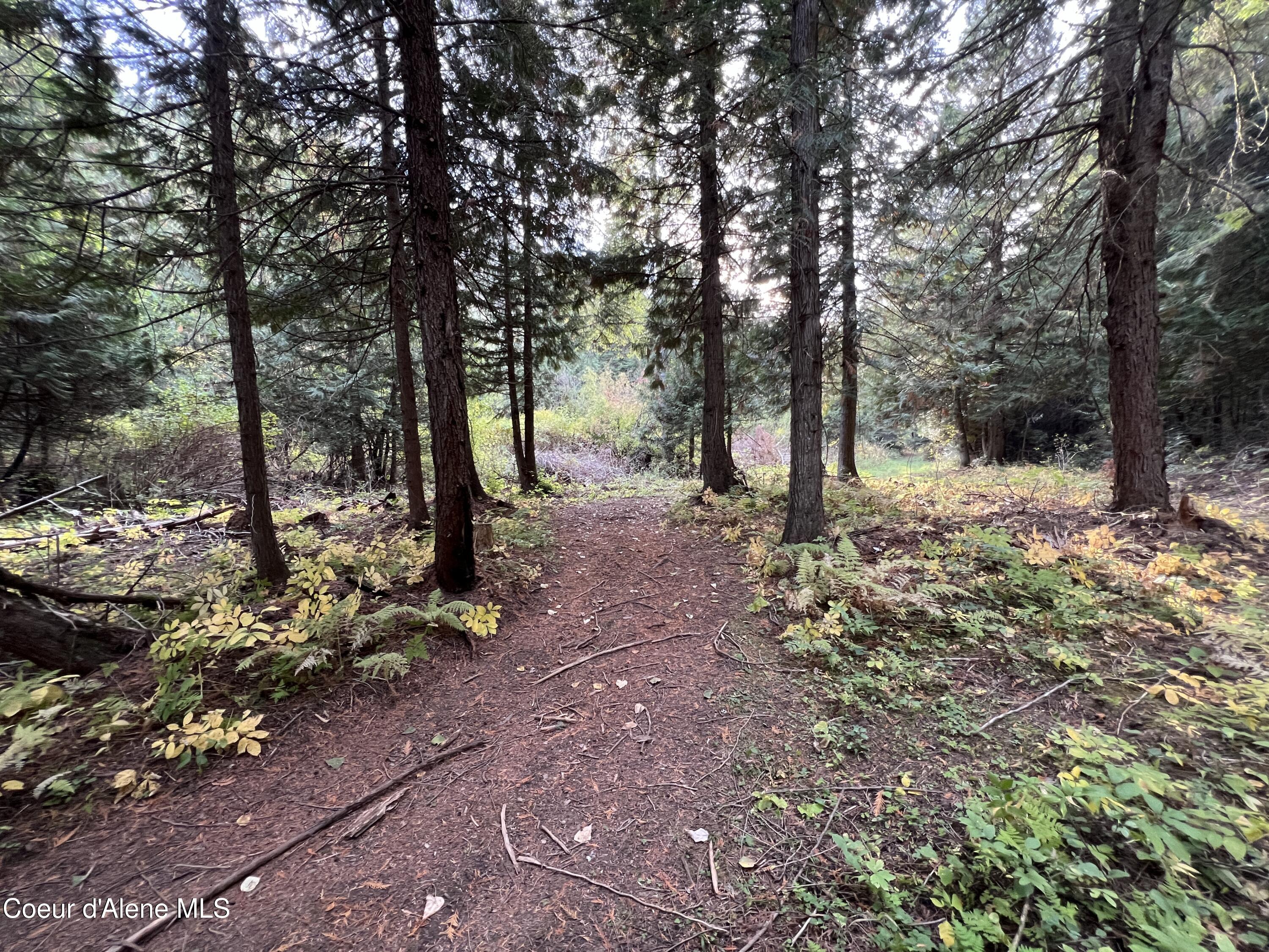 3507 Bear Creek Road Kingston, ID 83839 - Photo 5 of 11 5