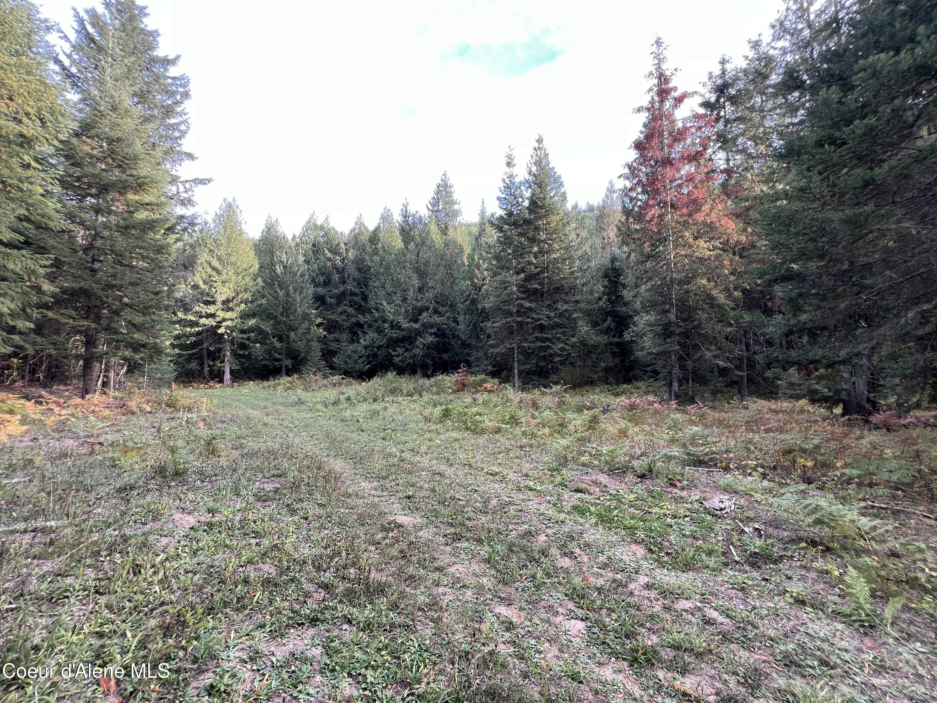 3507 Bear Creek Road Kingston, ID 83839 - Photo 7 of 11 7