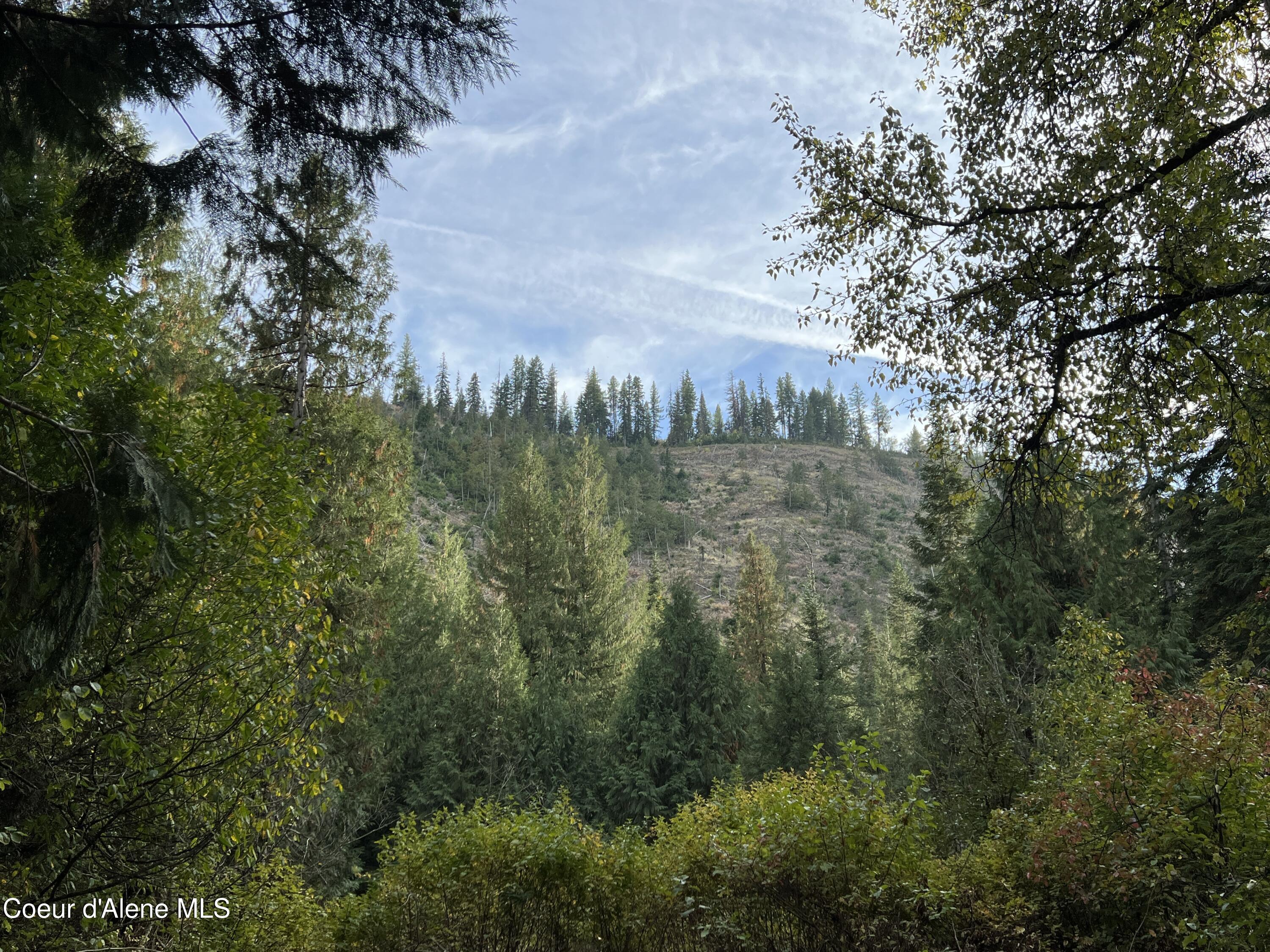 3507 Bear Creek Road Kingston, ID 83839 - Photo 8 of 11 8