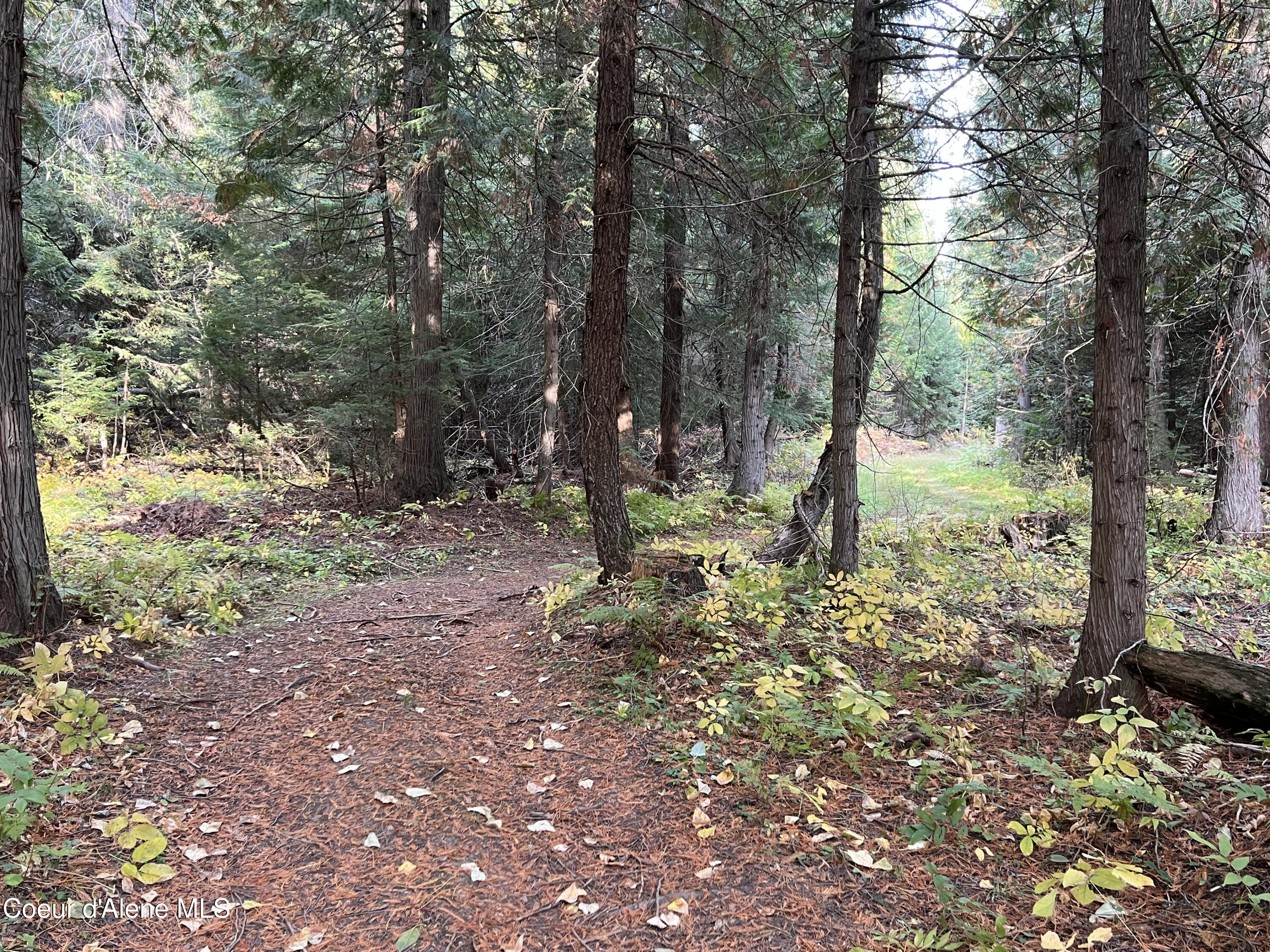 3507 Bear Creek Road Kingston, ID 83839 - Photo 9 of 11 9