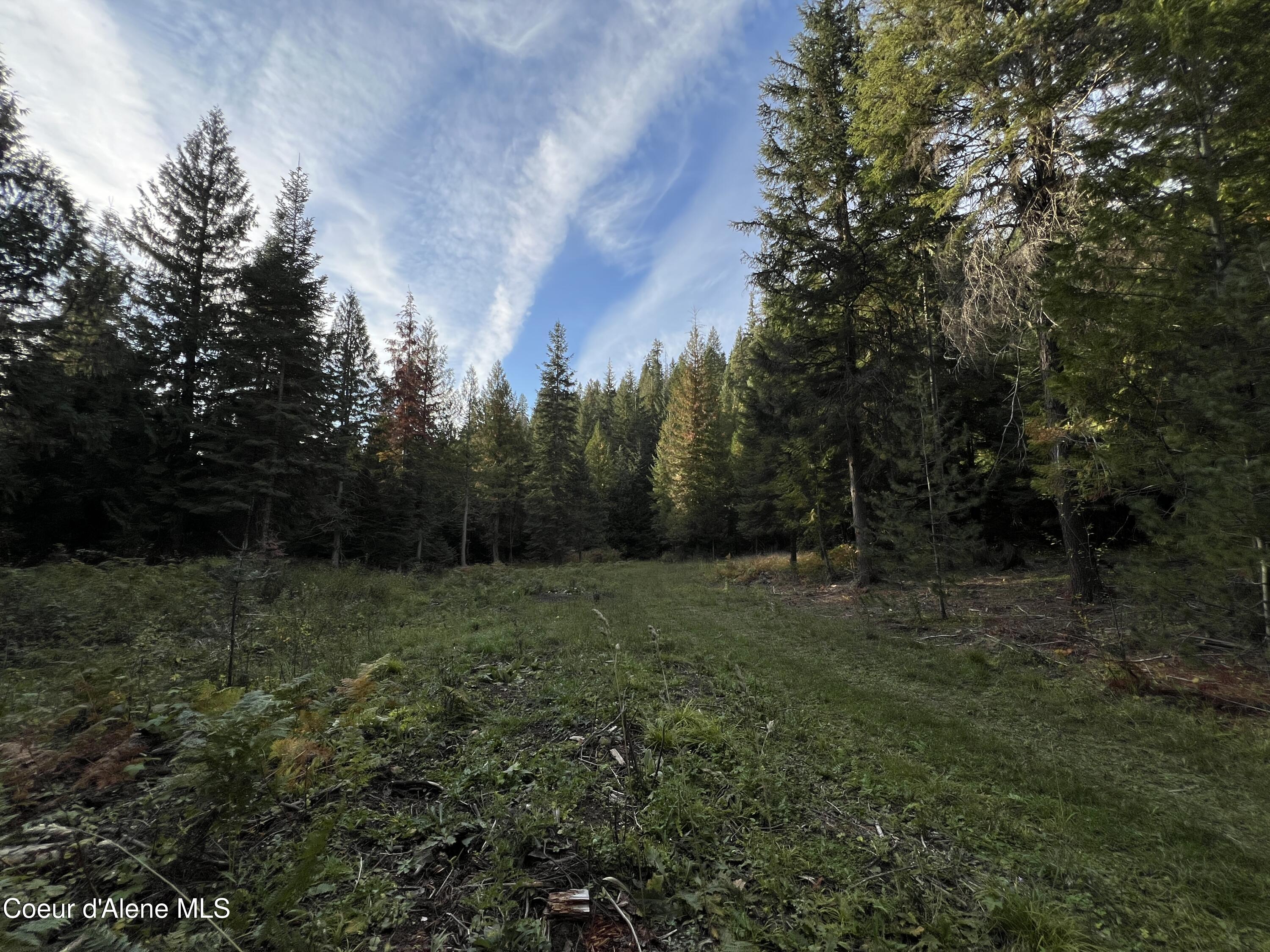 3507 Bear Creek Road Kingston, ID 83839 - Photo 10 of 11 10