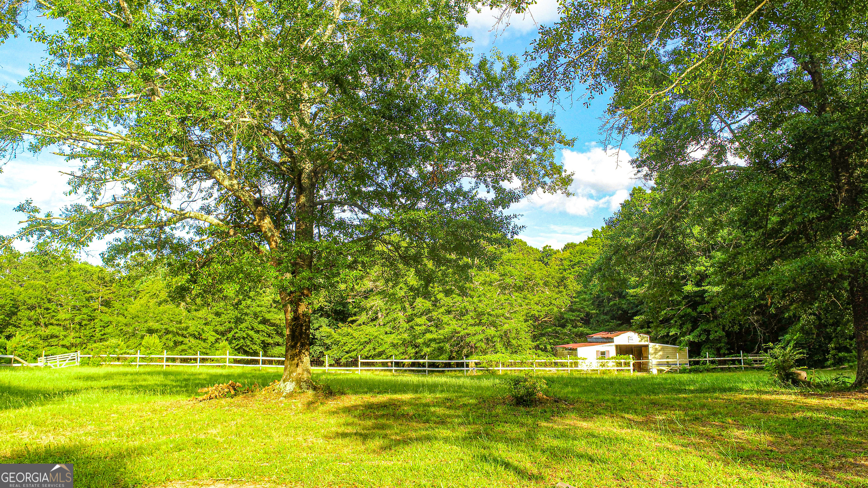 240 Harkness Road Jackson, GA 30233 - Photo 48 of 54 a view of a swimming pool with a big yard and large trees