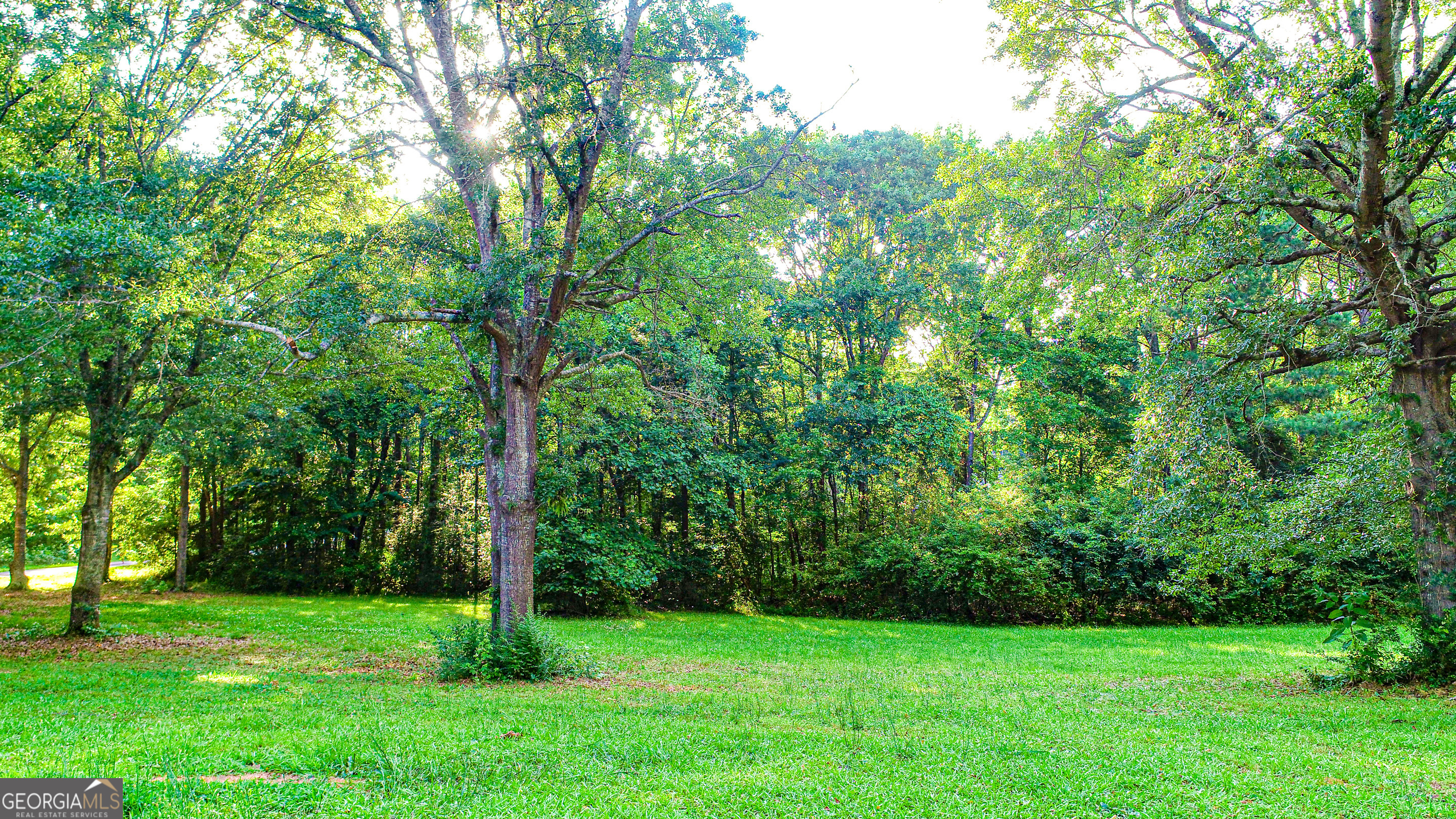 240 Harkness Road Jackson, GA 30233 - Photo 53 of 54 a view of a grassy field with trees in the background
