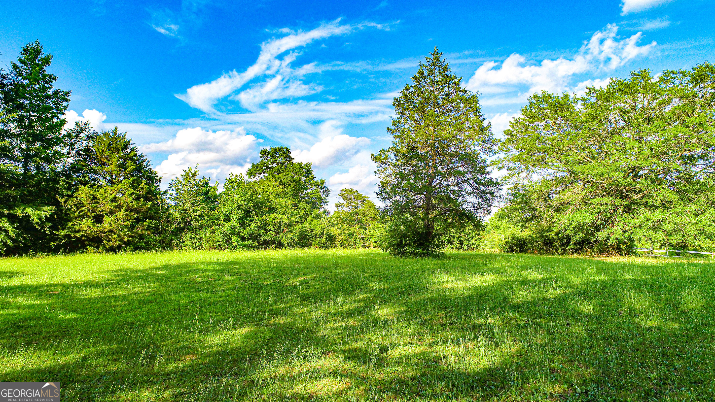 240 Harkness Road Jackson, GA 30233 - Photo 54 of 54 a view of a trees with a yard