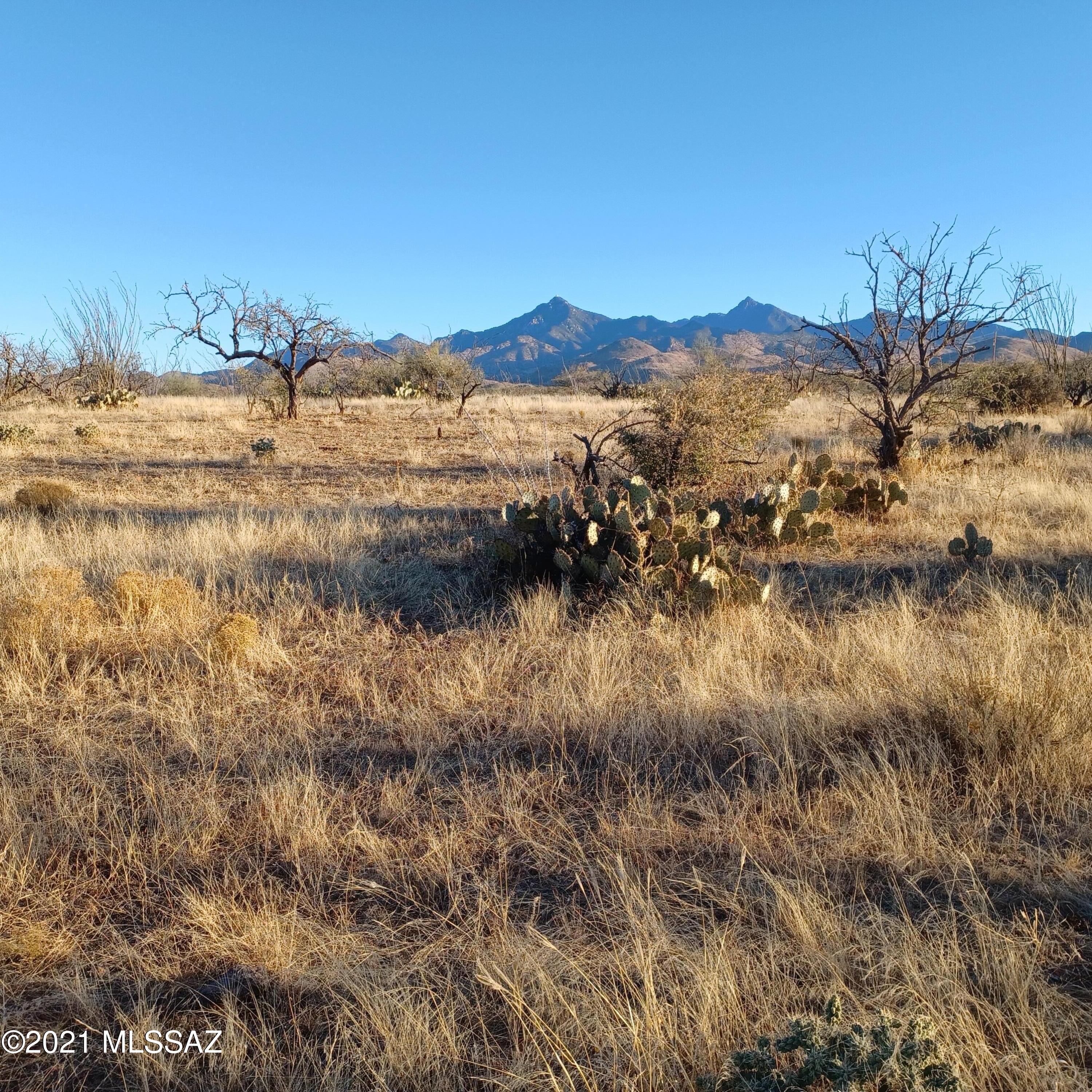 Tbd Camino Josefina, Unit 98A Rio Rico, AZ 85648 - Photo 1 of 6
