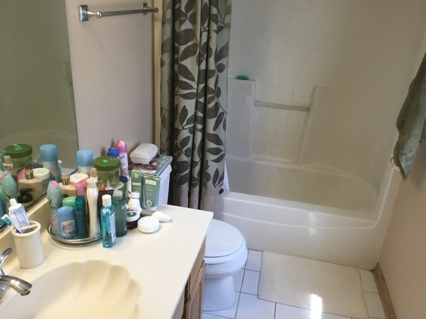 4741 West Lilac Avenue Monee, IL 60449 - Photo 12 of 28 a bathroom with a sink a toilet and shower