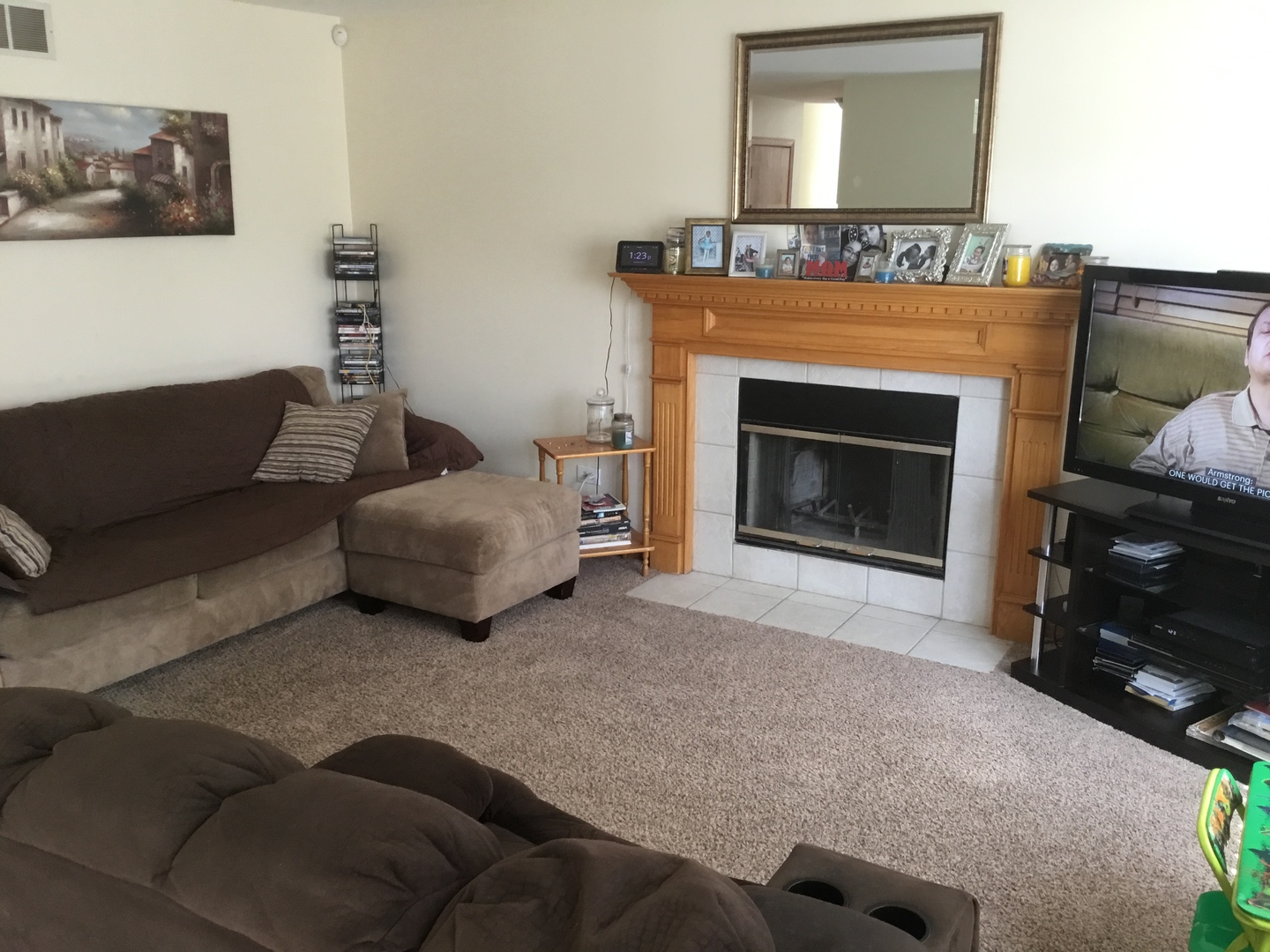 4741 West Lilac Avenue Monee, IL 60449 - Photo 7 of 28 a living room with furniture and a fireplace