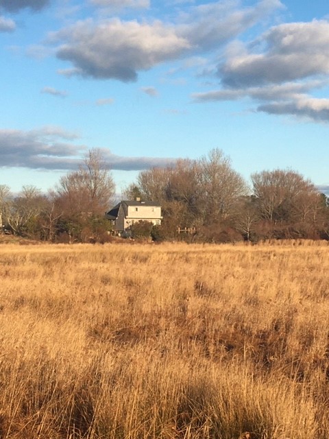 321 Polpis Road Nantucket, MA 02554 - Photo 7 of 14 Gallery Image 7