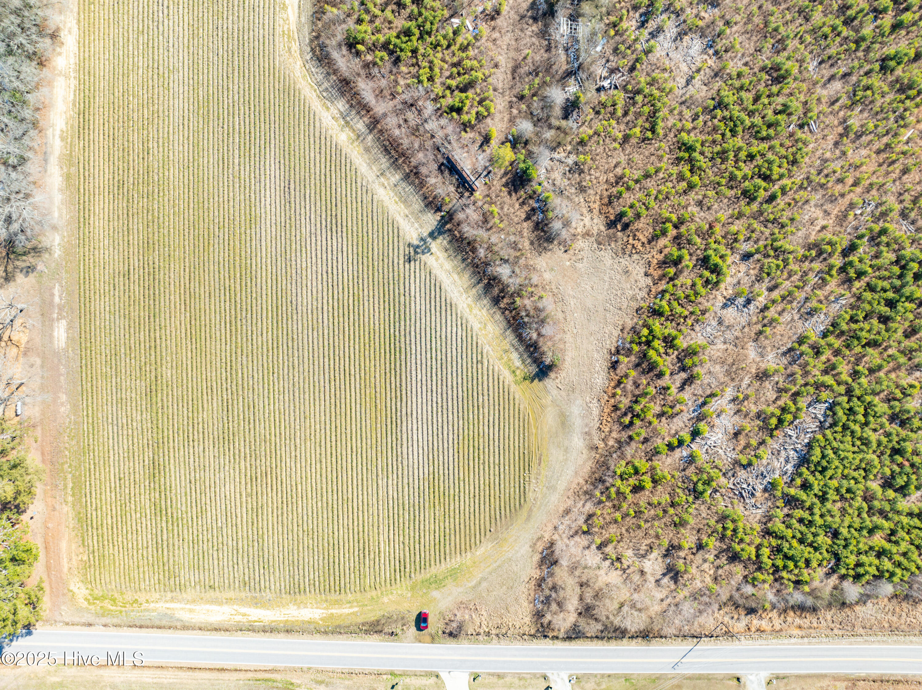 239 Green Pasture Road Rocky Mount, NC 27801 - Photo 9 of 10 239 Green Pasture Rd (9)