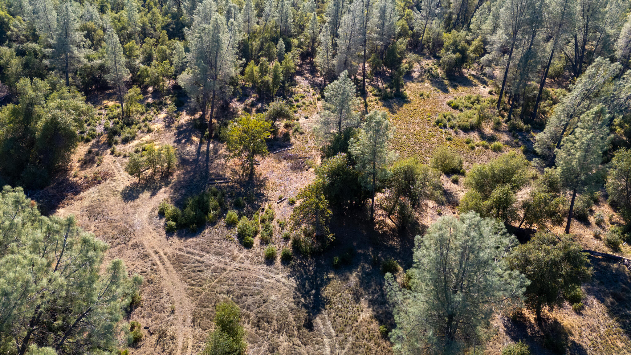 0 Landes Road Cottonwood, CA 96022 - Photo 2 of 8 a view of a trees in a forest
