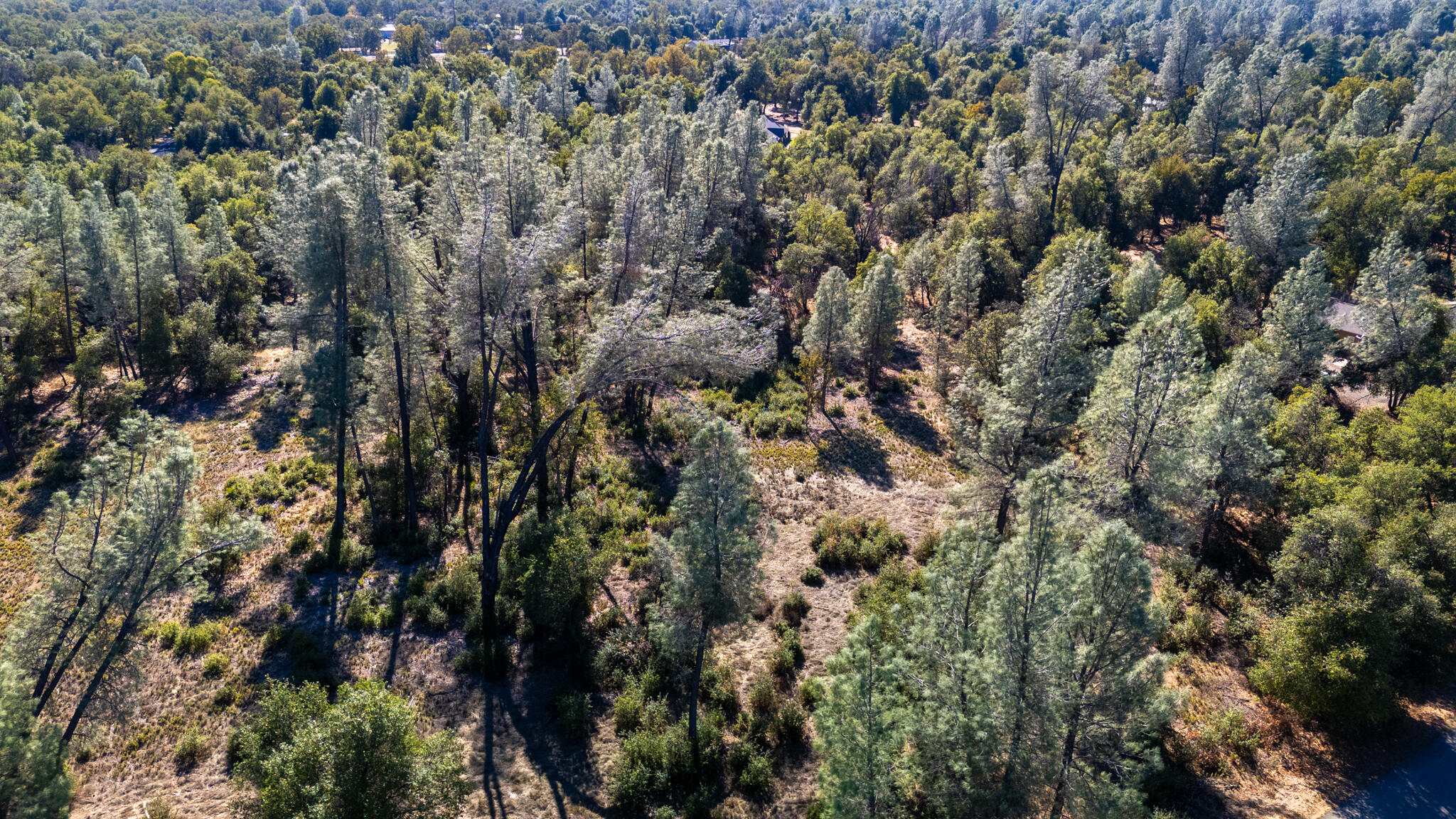 0 Landes Road Cottonwood, CA 96022 - Photo 3 of 8 a view of a city