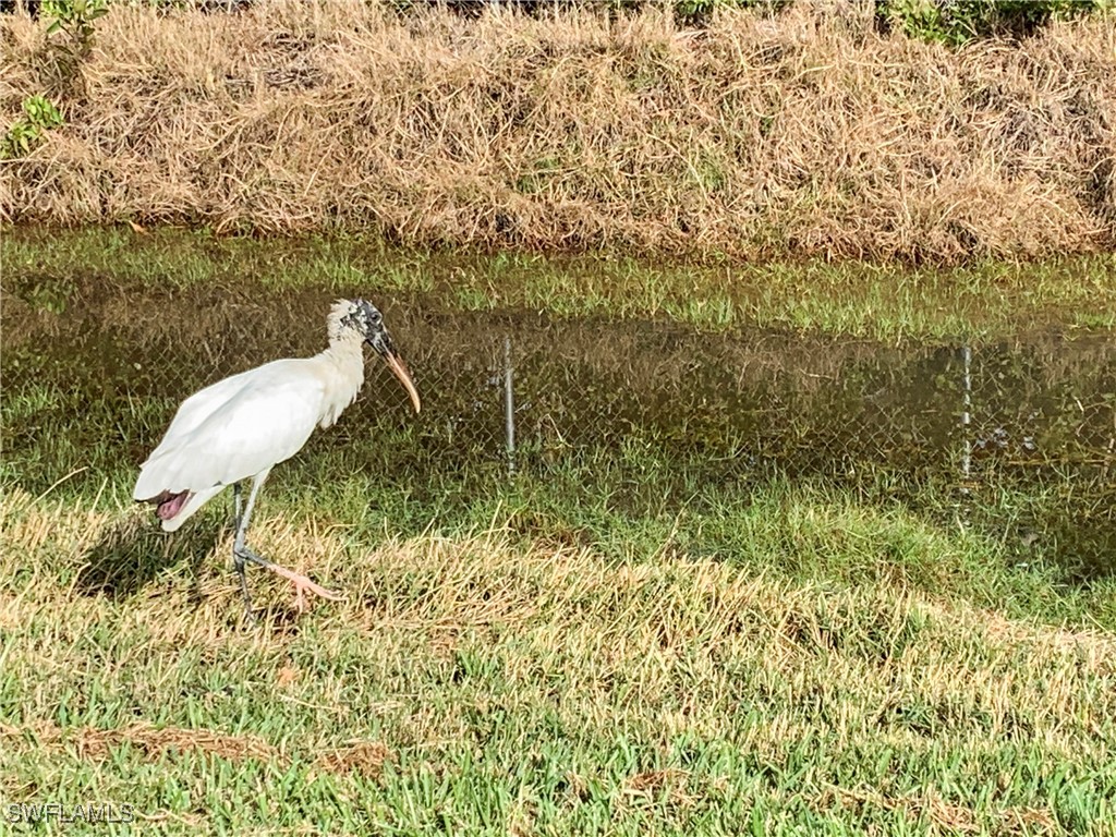19681 Summerlin Road, Unit 609T Fort Myers, FL 33908 - Photo 5 of 20