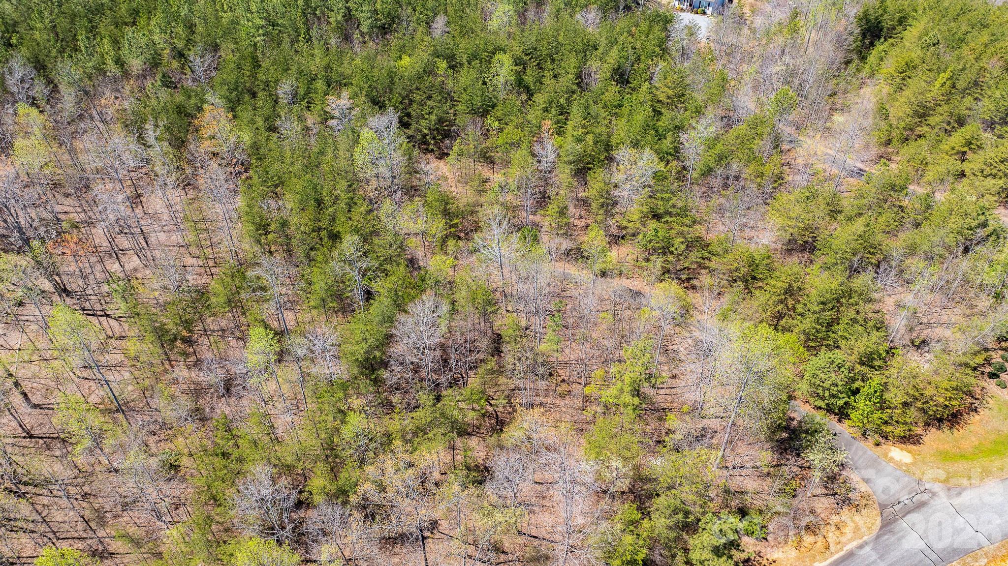 Tbd Jobes Trail, Unit 29 Mill Spring, NC 28756 - Photo 11 of 41