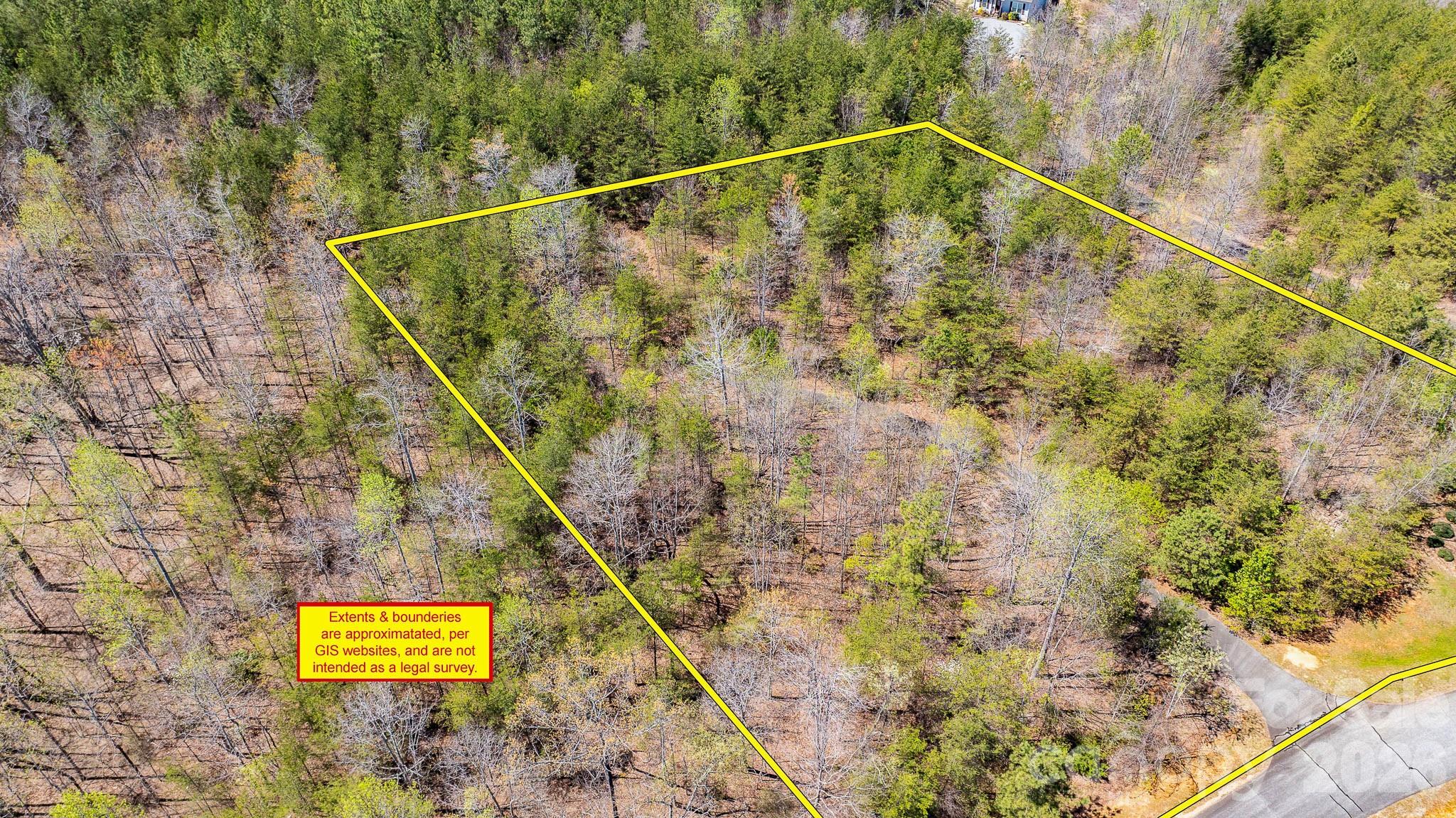 Tbd Jobes Trail, Unit 29 Mill Spring, NC 28756 - Photo 12 of 41