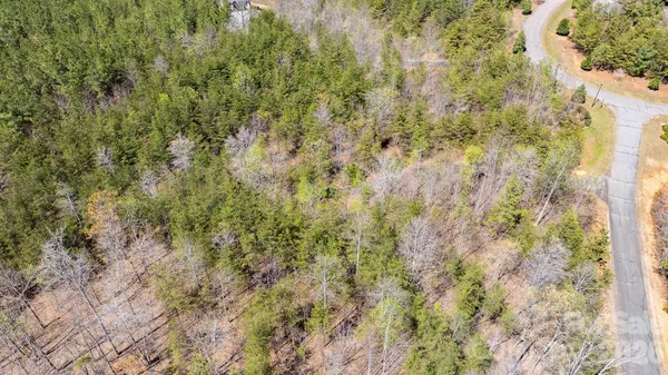 $55,000 | Tbd Jobes Trail, Unit 29, Mill Spring, NC 28756